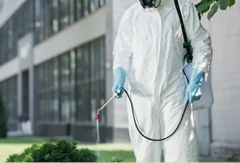 Control de Plagas Prevención