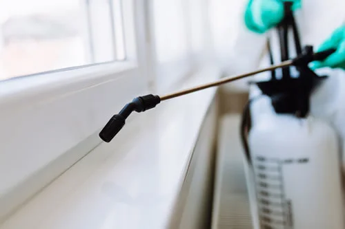 Servicios de Desinfección Profesional