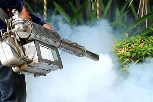 Servicio de Fumigación Profesional