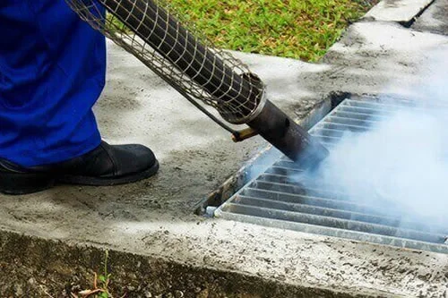 Servicio de Fumigación Profesional